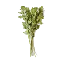 Whole Foods Cilantro